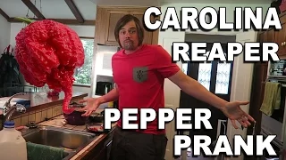 Carolina Reaper Pepper Prank - Wife Vs Husband