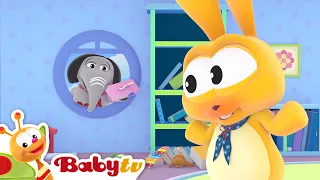 Petit lapin 🐰 | Chansons & de comptines | BabyTV Français