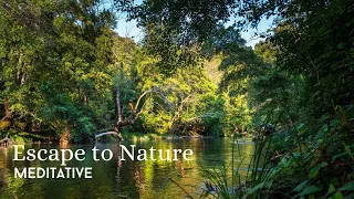Escape to Nature: A Journey Through Beautiful River Landscapes with Meditative Music & Birds Singing