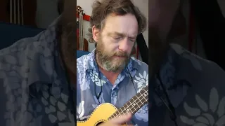 Rendition of Dance With Me by Orleans on ukulele