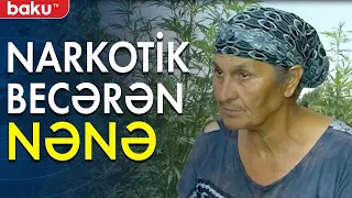 Narkotik becərən 65 yaşlı nənə saxlanılıb - Baku TV