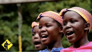 What a Wonderful World (Louis Armstrong) | Playing For Change | Song Around The World