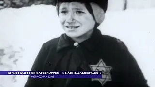 Einsatzgruppen – a náci halálosztagok