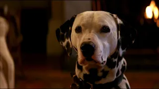 Lucky - One of Fifteen Puppies who nearly dies soon after his birth - 101 Dalmatians