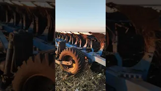 Пахота по кукурузе 🌽🌽🌽