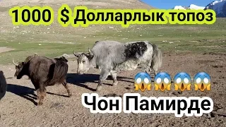 Чон Памирдеги  1000 $ Топоз /Корунуздор