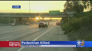 Pedestrian Struck, Killed On 105 Freeway In Harbor Gateway