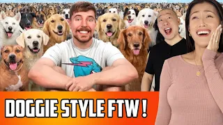 Reacting To Mr. Beast - Rescues 100 Abandoned Dogs | Dog Adoption FTW!