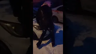 ДТП. Пьяный. Ростов на Дону. 08.01.2019.