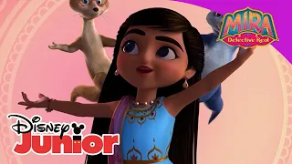 Mira detective real: Compilado musical | Disney Junior Oficial