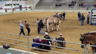 1st Horsepull of the Year Muhlenberg Ag Center January 2024 Bluegrass Horsepullers Association