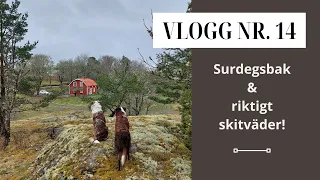 Vlogg Nr. 14 - Surdegsbak & riktigt skitväder...