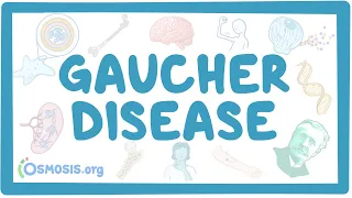 Gaucher disease - causes, symptoms, diagnosis, treatment, pathology