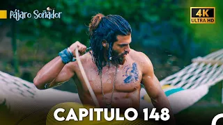 Pájaro Soñador Capítulo 148 (Doblado En Español 4K)