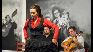 Flamenco en Tablao LA CARBONERIA - Sevilla  [HD]