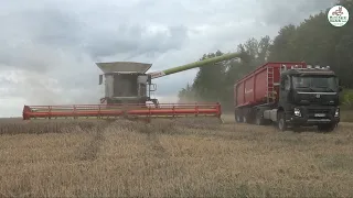 Weizen Ernte mit den Zwillingen, wheat harvest, Claas, Volvo, Valtra - Multi Agrar Claußnitz