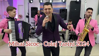 Mihai Sicoe și Formația 🎷 - Super COLAJ TARINI 2024 ❌ LIVE 💯