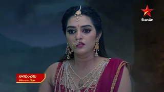 NagaPanchami - Promo | 27th Sep 2023 | Star Maa Serials | Mon -Sat at 8 pm | Star Maa