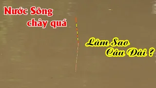 Cận cảnh, bắt nhịp ăn, phao câu đài cực phê!