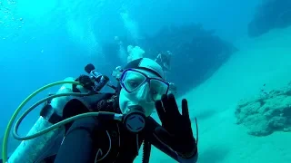 Scuba Diving in the Red Sea. Coral Reef at Sharm el Sheikh, Egypt