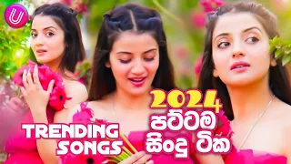 Sinhala New Hits Songs 2024 ( Top 05) TikTok Hits | Trending Sinhala Songs 2024 | New Sinhala Songs