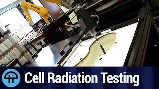 Testing for Cell Phone Radiation