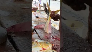 Rare Golden Trevally Fish Cutting like Butter | Asian Fish Cutting Skills