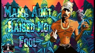 2Pac - Mama Ain't Raised No Fool (Prod. Kryptic) ''2PacRremix''