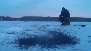 Безмотыльная мормышка муравей река Ахтуба и голодный окунь.