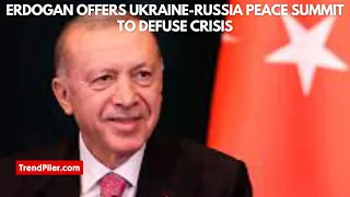 Erdogan offers Ukraine Russia peace summit to defuse crisis