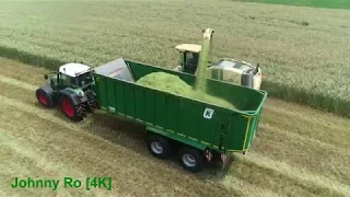 Triticale häckseln 2019,  mit LU Biggel Krone Big X V8, Deutz , Fliegl, JCB , Fendt [4K]