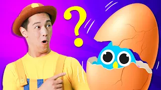 Surprise Eggs - Nursery Rhymes  | Tigi Boo Kids Songs