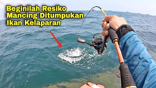 NGERII‼️Semuanya Panen Gak Ada Yang Boncos, Kayak Mancing Ditumpukan Ribuan Ikan Kelaparan