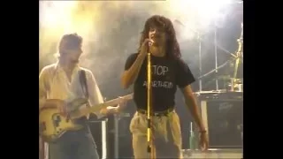 Captain Dread ofwel Ruud Gullit de eerste zwarte aanvoerder met dreadlocks van het Nederlands elftal