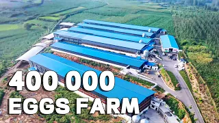 400,000 Eggs Farm With 2 Egg Rooms Project In China