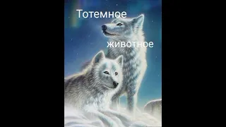 Квест - вижн⭐⭐Поиск своего тотемного животного🐺✨✨