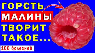 Зачем Вам НАДО ЕСТЬ МАЛИНУ? Польза и Вред Малины для организма  | Полезные советы для жизни