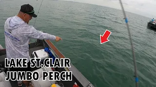 SIMPLE FISHING FOR LAKE ST.CLAIR JUMBO PERCH - LAKE ST.CLAIR FISHING