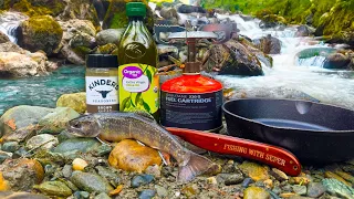 Brook Trout Catch And Cook In The Mountains!