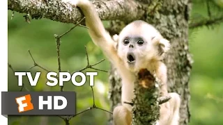 Born in China TV Spot - Now Playing! (2017) | Movieclips Coming Soon