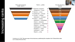 Virus taxonomy in a data rich world