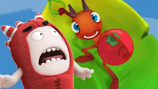 Sailor Troubles ⛵⚓| 2 Hours of OddBods & Antiks  | Best Cartoons For All The Family  🎉🥳