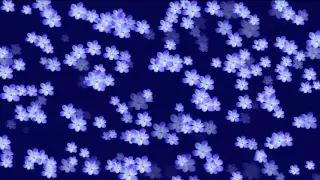 Видеофон Белые цветы на синем