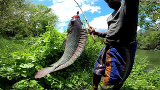 Big Fish Catching 🇱🇰 | Best Hook Fishing In Village | Sri Lanka