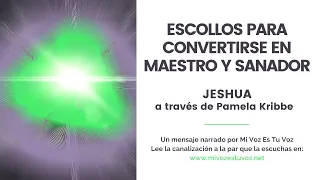 ESCOLLOS PARA CONVERTIRSE EN MAESTRO Y SANADOR | Una canalización de Jeshua vía Pamela Kribbe