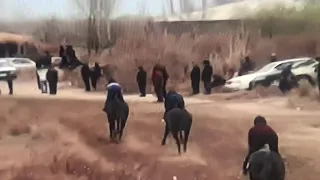 Туркменистан Дашагуз Болдумсаз Калинин скачки Куват Атбурч
