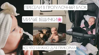 ВЛОГ: ПЕРЕСЕЛИ В ПРОГУЛОЧНЫЙ БЛОК // ЧТО НУЖНО ДЛЯ ПРИКОРМА // МИЛЫЕ ВЕЩИЧКИ🌸