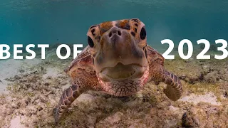 Snorkel Venture's Best of 2023