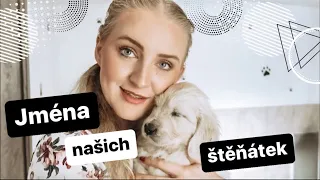 🐶✨JMÉNA NAŠICH ŠTĚŇÁTEK🧡🍁