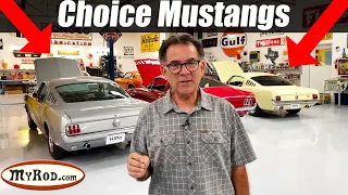 Choice Mustangs